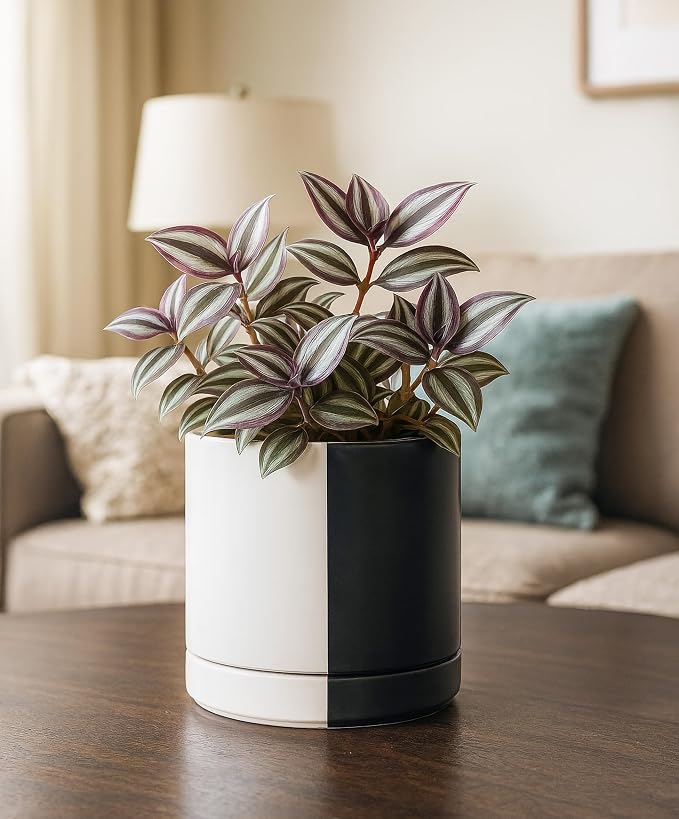 D'vine Dev 6.5 Inch Ceramic Planter Pot, Black White Split, 94-O-C-0 | Modern Cylinder Design, Drainage Hole & Saucer Included, Stable Structure, Elegant Home Accent