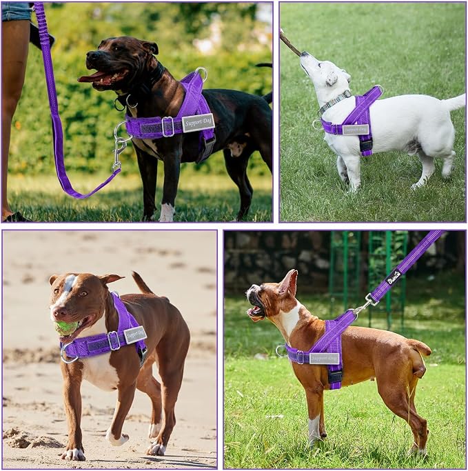 SlowTon No Pull Dog Harness with Front Clip - Heavy Duty, Soft Padded | Neck & Chest Adjustable, Tactical Pet Vest and Leash Set for Large Medium Sized Dogs, for Easy Walk & Training, Purple S