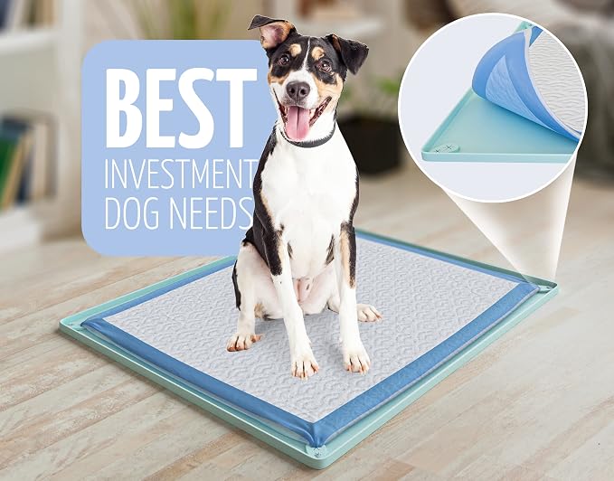Dog Pee Pad Holder Tray Fits for 30” x 23” Pee Pads - 2 Pack - Turquoise | Corner Lock Holes, Raised Edges, Non-Spill, Easy to Clean Silicone Dog Potty Tray Holder, For Indoor Floor Protection