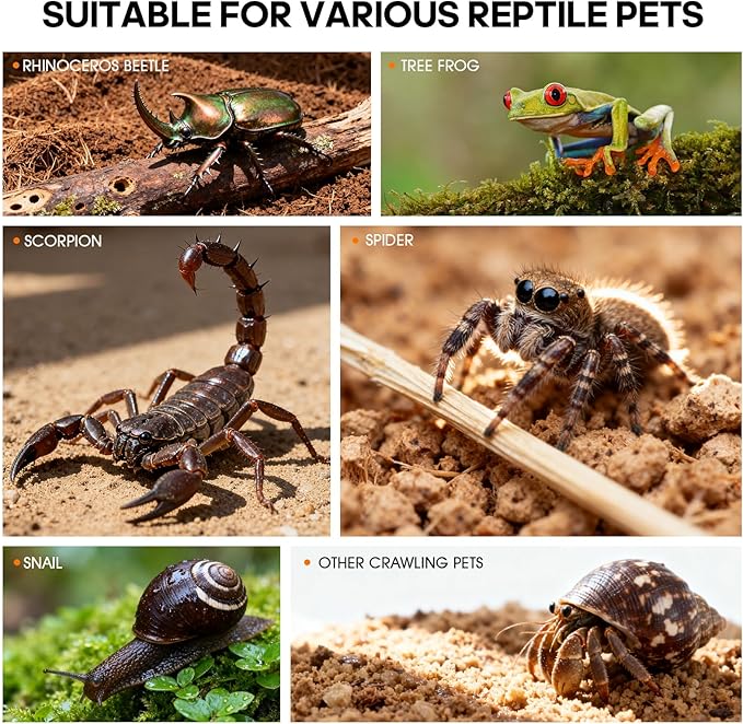 Acrylic Reptile Terrarium, Tarantula Enclosure with Magnetic Door, Easy-Clean Reptile Tank for Spider, Insect, Gecko, Mantis, Frog, Snail, Isopods(Tweezer and Bowl Included)