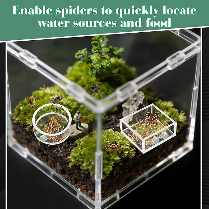 Windspeed 2+1P 1.8 inch Mini Jumping Spider Feeding Dish Magnet Tarantula Water Bowl for Spider Feeder Water Dish for Tarantula Tank Enclosure Accessories, with A Dropper (Square and Round)
