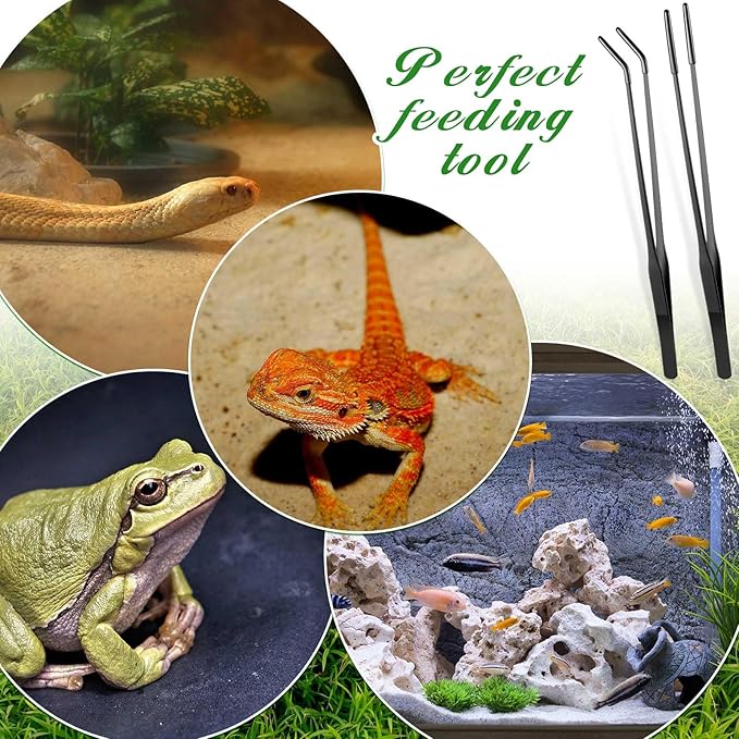 Lasnten 2 Pcs Extra Long Stainless Steel Reptile Feeding Tongs with Rubber Tip 15 Inch Bearded Dragon Aquarium Straight and Curved Long Tweezer Terrarium Feeder Tool for Tank(Black)
