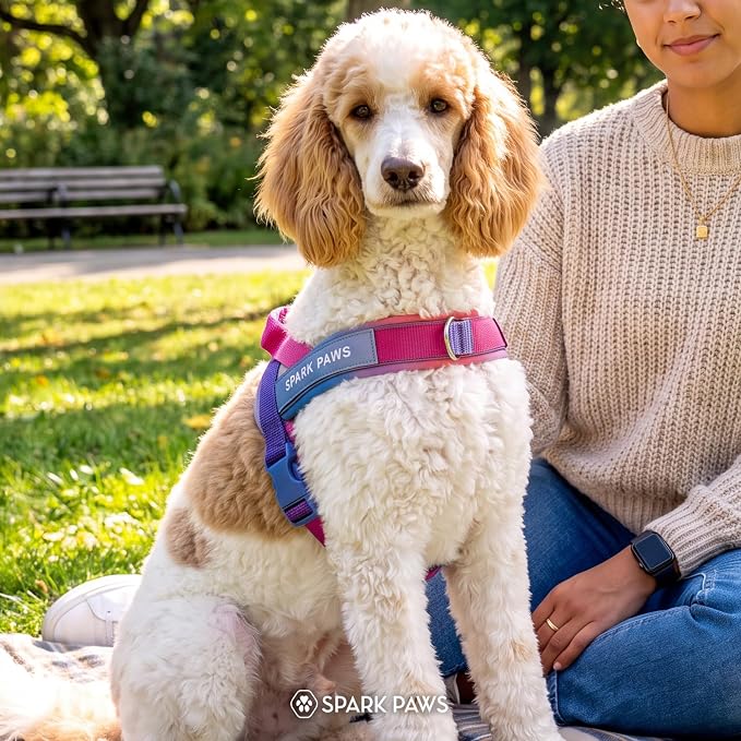 Spark Paws No Pull Front Clip Dog Harness - Easy On, Padded and Lightweight | Two Clips, On in Seconds, Chest Bearing, Australian Style, No Throat Pressure, for Small Medium and Large Breeds