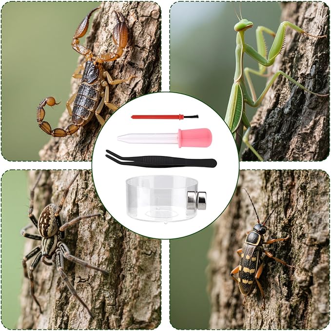 6pcs Jumping Spider Feeding Dish Set, Includes 2 Magnetic Water Bowl Tray 2 Brushes 1 Reptile Feeding Tongs & 1 Dropper Jumping Spider Enclosure Accessories Kit