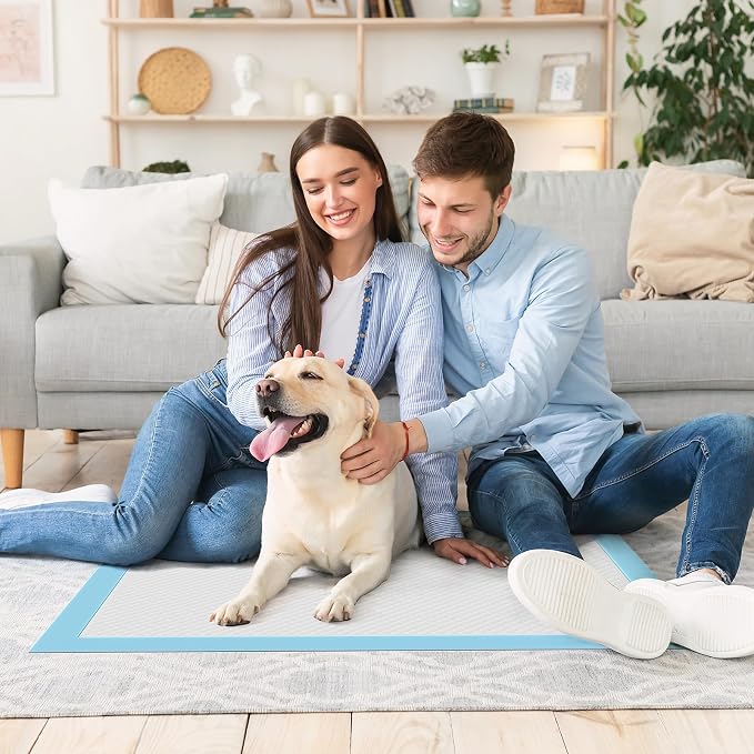DUMOS 100 Count Puppy Pads for Dog, Disposable Dog Potty Pee Training Pads | 6-Layer Super Absorbency, Disposable Pet Leakproof Quick Drying, 22"×22"× Regular Size