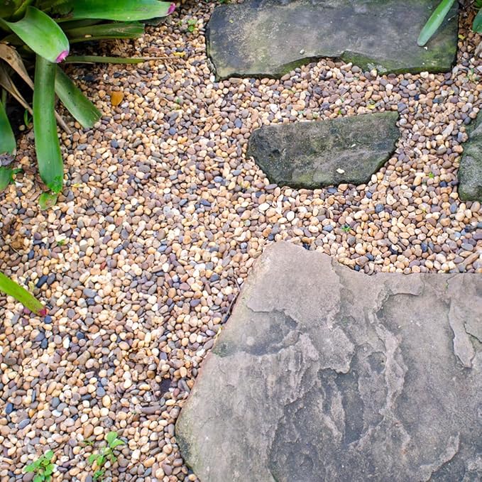 YISZM 5lbs Aquarium Gravel, 1/4" Fish Tank Gravel Natural River Rocks Succulent Cactus Pea Gravel for Plants, Pebbles for Gardening, Flower Pots, Vase Fillers, Indoor Water Fountains, Landscaping