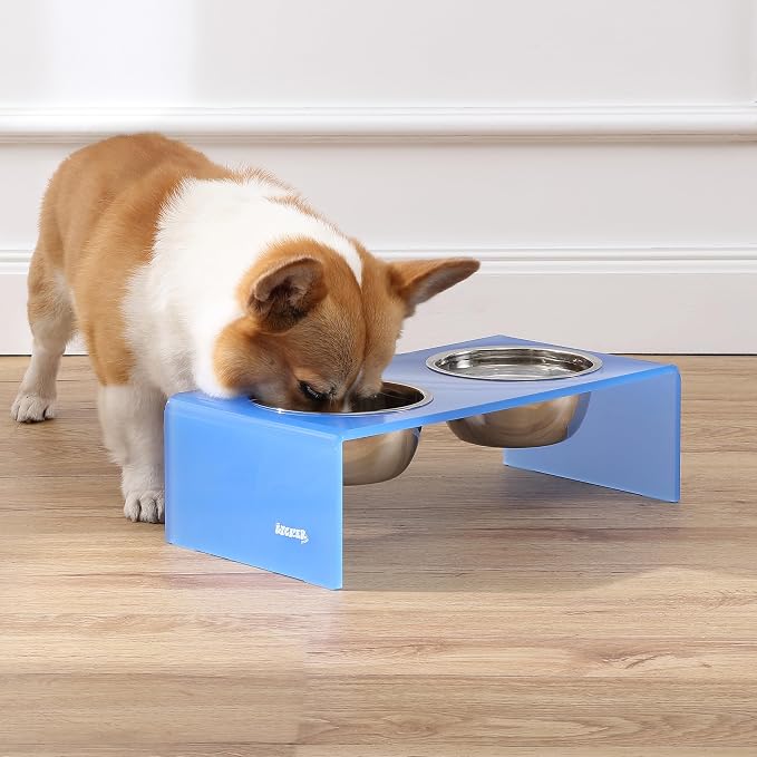 DBL2000C Keaton 5" Small/Medium Modern Acrylic Rectangular Elevated Pet Feeder with 20oz 2-Stainless Steel Bowls, Blue/Chrome