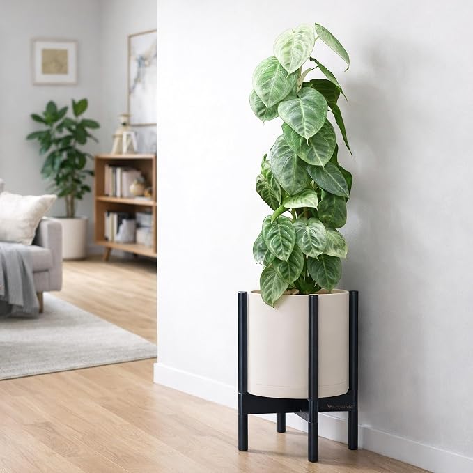 D'vine Dev Plastic Pot with Ebony Wood Stand, Oatmeal, 10 in, 55-C-N-4 | Mid-Century Inspired Design, Elevated Plant Display, Clean Lines, Sturdy Support, Modern Space-Saving Style