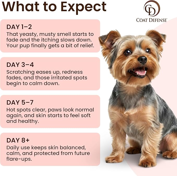 COAT DEFENSE Paw Licker Bundle | Daily Preventative Powder & Shampoo for Allergies and Itching | Yeast Infection Treatment for Dogs | Dog Shampoo Itchy Skin Relief | Dry Shampoo Yeast Powder for Dogs