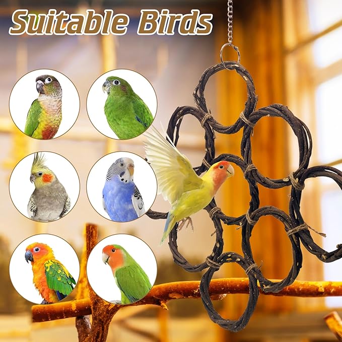BNOSDM Bird Swing Rings Toy Natural Wood Parrot Climbing Ladder Parakeet Chewing Toys Hanging Budgie Cage Accessories for Green Cheek Conure Cockatiel Lovebird (5 Rings)