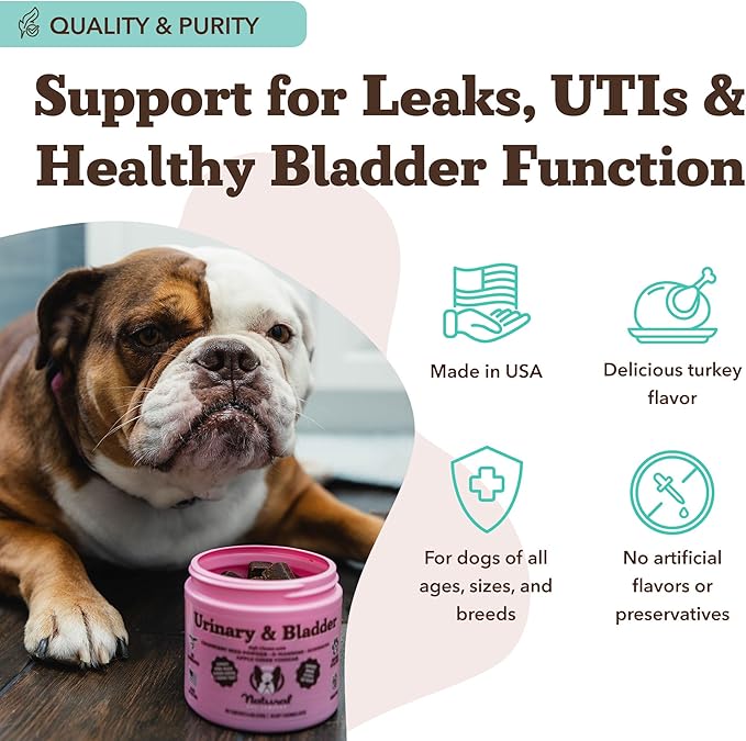 Natural Dog Company Urinary & Bladder Supplement for Dogs – Cranberry & D-Mannose, Marshmallow Root & Astragalus Soft Chews, Supports Urinary Tract Health, Bladder Function & Normal Urine Flow, 90 Ct
