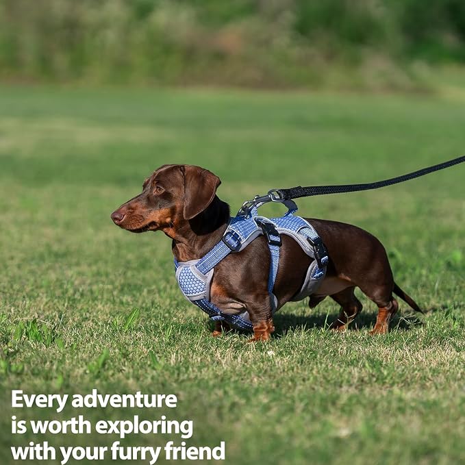 Escape Proof Dog Harness, Dachshund Harness, Reflective Dog Harness with Handle, Durable,Adjustable Vest for Small Medium Large Dogs Walking, Training, and Running Gear (Technicolor Blue,M)