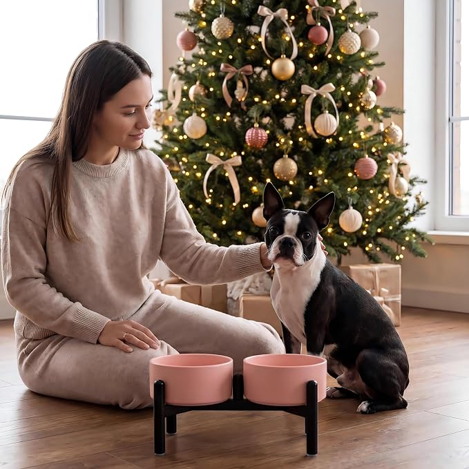 Raised Ceramic Dog Bowl Set with Stand, 3.5 Cups Elevated Dog Food Stand | 6.1'' Double Dog Food and Water Bowl Set, Non-Slip Dog Feeding Dishes for Small to Medium Breeds, 29.57 OZ, Pink