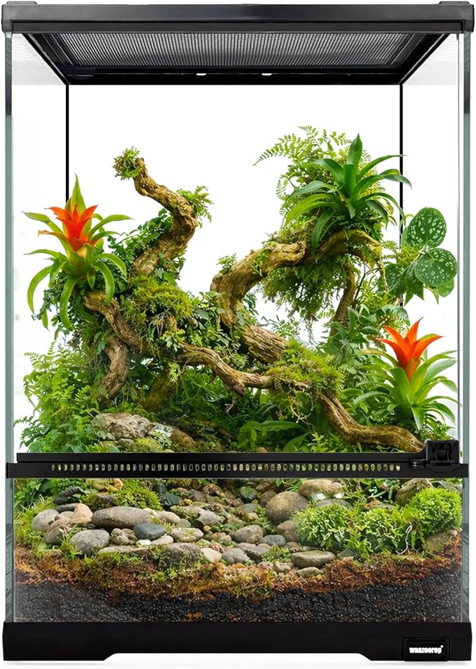 Reptile Glass Terrarium Tank 10 * 10 * 14in, Full View with Front Opening Door,Amphibians Enclosure Habitat Cage for Crested Gecko,Spider,Tarantula,Lizard,Hermit Crab,Frog,Mantises,Insects