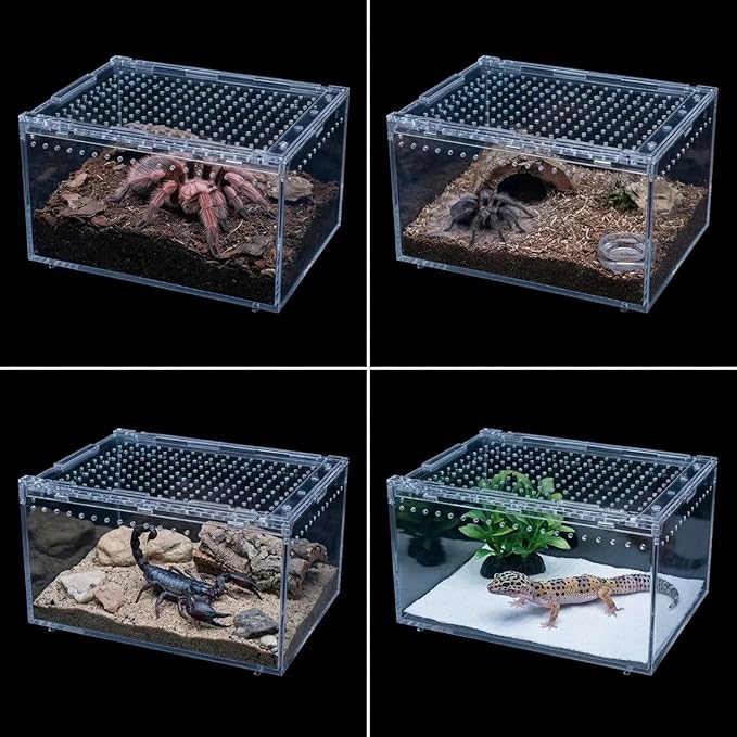 8x6x4 Inch Terrarium with Magnetic Top Sliding Lid, Clear View Critter Keeper & Spider Enclosure, Jumping Spider/Tarantula Habitat, Hermit Crab Tank, Tadpole to Frog Kit