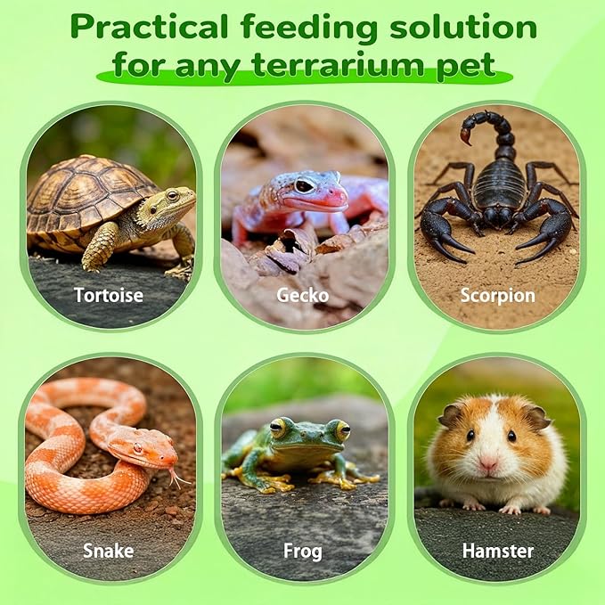 Xindojuz 4 PCS Leaf Reptile Water Dish, Reptile Water Bowl, Tortoise Habitat Accessories, Bearded Dragon Water-Bowl, Pet Food Feeding Plate for Turtle Small Snake Lizard Gecko, 2 Sizes
