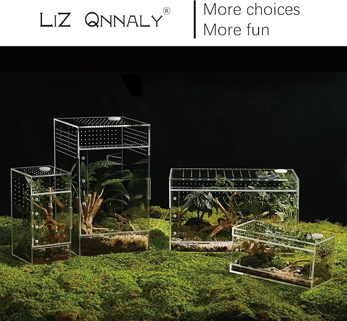 Acrylic Terrarium for Reptiles & Spiders – Small/Medium/Large Leak-Proof Enclosure (Horizontal/Vertical) | Ideal for Tarantulas, Jumping Spiders, Frogs & Geckos (Large, Horizontal)