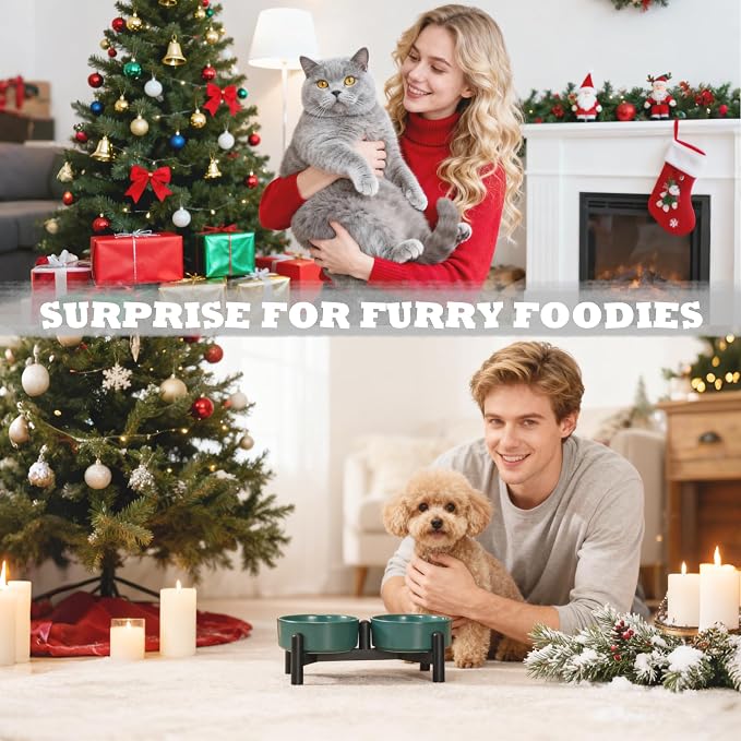 Raised Ceramic Dog Bowl Set with Stand, 1.6 Cups Elevated Dog Food Stand | 5.1'' Double Dog Food and Water Bowl Set, Non-Slip Dog Feeding Dishes for Small Breeds and Cats, 10.8 OZ, Black