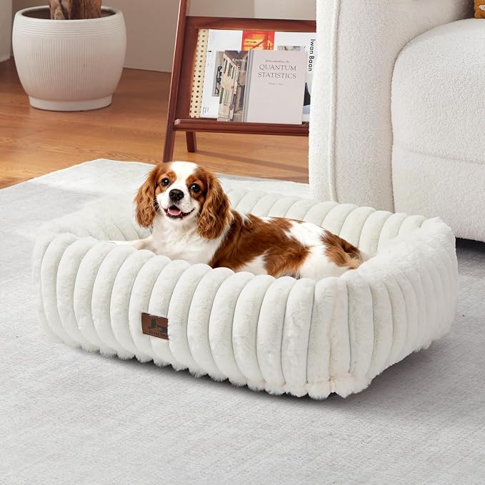 Washable Dog Bed for Small Medium Dogs, Rectangle Orthopedic Pet Bed with Removable Cover, Fluffy Memory Foam Dog Beds with Anti-Slip Bottom, Cream(25x21x7inchs)
