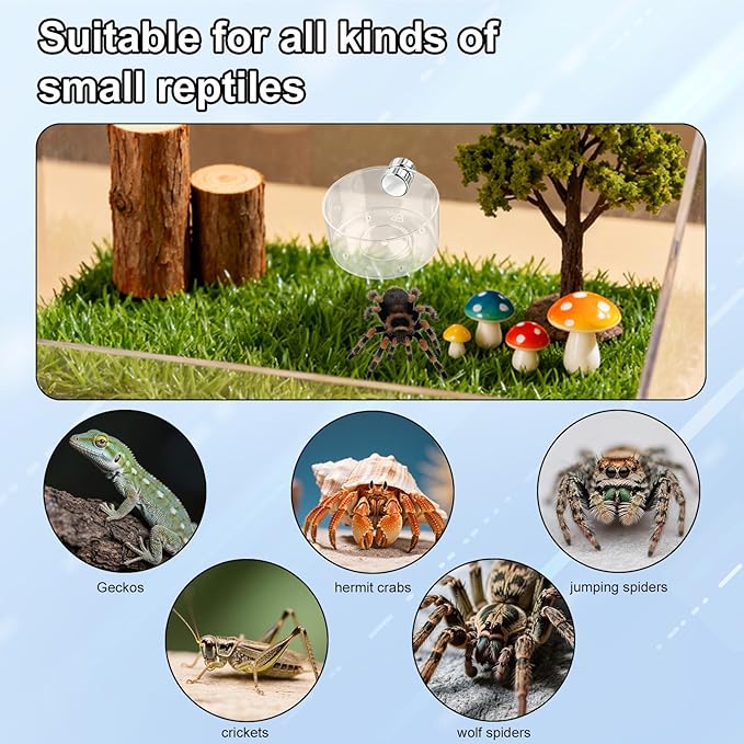 4pcs Jumping Spider Feeding Dish Set, Including Magnetic Water Dishes Dropper & Tweezer Small Pets Accessories for Tarantulas Reptiles Enclosure Supplies