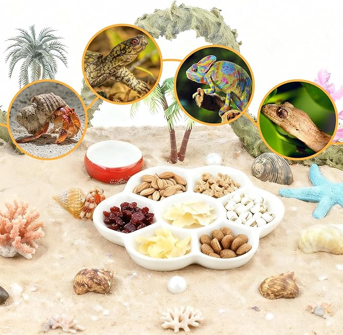 Eiito Reptile Food Bowl,Hermit Crab Lizard Gecko Ceramic Food Dish, 7 Compartments Anti-Turning Bearded Dragon Food & Water Bowl with Small Brush (White)