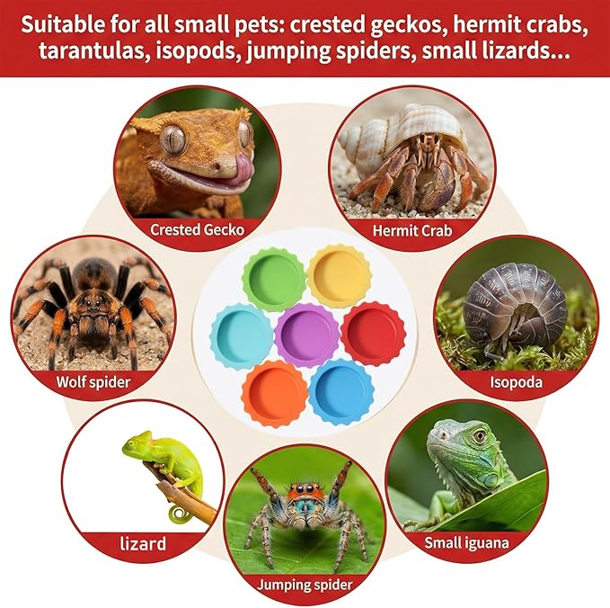 7 PCS Crested Gecko Food and Water Bowl Reusable Silicone Reptile Feeding Dish Small Pet Tank Accessories for Crested Gecko Lizard Hermit Crab Tarantula Isopods Easy Clean