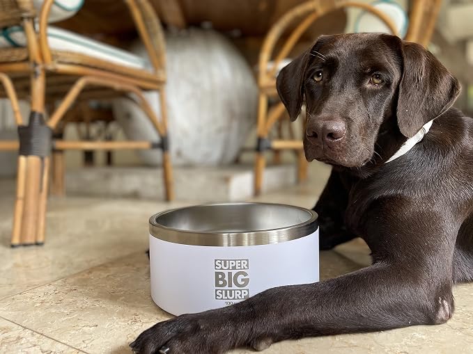 Tuff Pupper 100 oz Heavy Duty Insulated Stainless Steel Dog Bowl for Large Dogs, Non-Slip Base, Dishwasher Safe