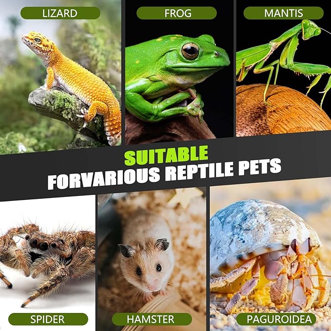 Jumping Spider Enclosure, Small Reptile Insect Terrarium, Spider Tank with Magnetic Door & All-Side Vent, Pre-Assembled Habitat for Spiderling, Mantis, Tarantula, Snail 7.8" * 4.7" * 4.7 (Vertical)
