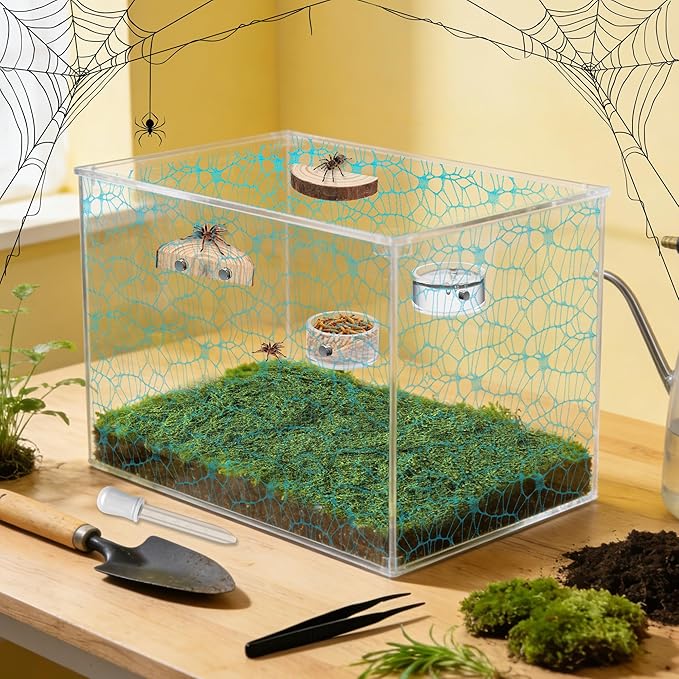 Windspeed 8Pcs Jumping Spider Enclosure Stuff Kit with 2 Jumping Spider Enclosure Ledges 2 Tarantula Feeding Dish 1.8 Ounce Fake Moss 1 Dropper 1 Clamp