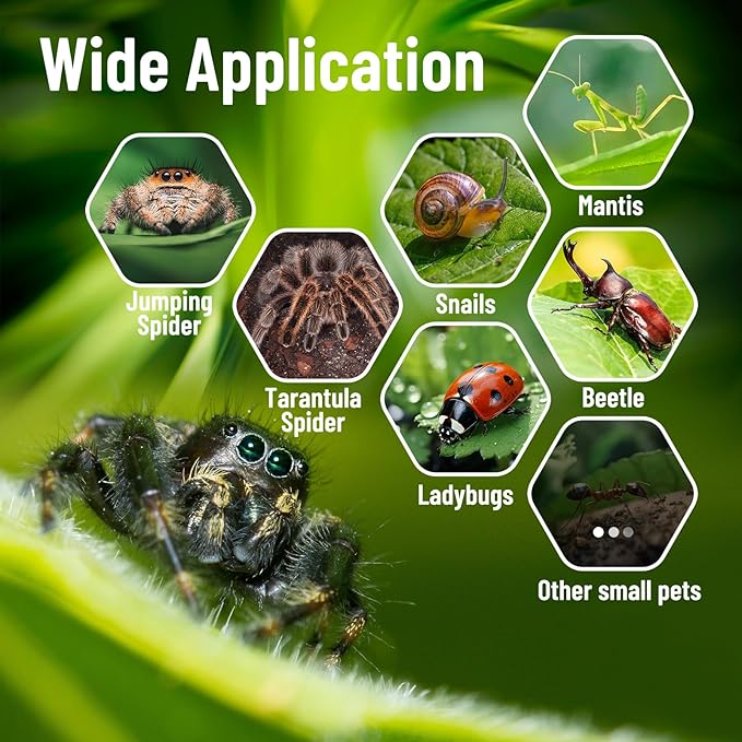Jumping Spider Enclosure,DIY Insects Habitat,Small Reptile Terrarium Glass House Accessories Set,with Jumping Platform Hide Climbing Net(Green 2)