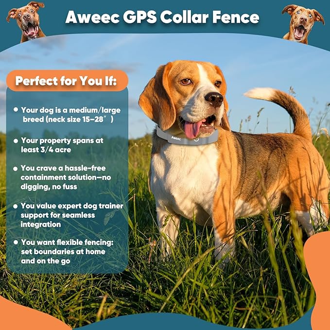 GPS Electric Dog Fence with Free App, Wireless Fence System with Training Collar, Portable for Outdoor Use, Rechargeable Waterproof Flexiable Collar, Adjustable of Dogs (Grey)