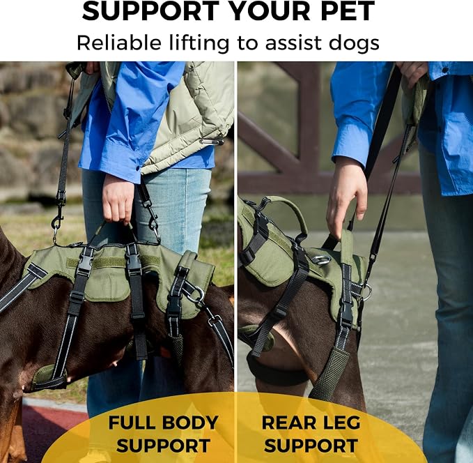 BINGPET Dog Lift Harness for Medium Dogs, Full Body Adjustable Handle Sling | Reflective Lifting Harness Rehabilitation Sling Carrier with Soft Padded Handle, Mobility Assistance Vest for Senior Pets