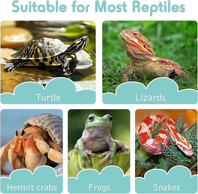 kathson Large Turtle Pool with Ramp and Hose, Tortoise Water Bowl Reptile Bathing Tub Amphibians Feeding Accessories for Bearded Dragon Lizard Frog Snake Gecko Scorpion Habitat (Brown)