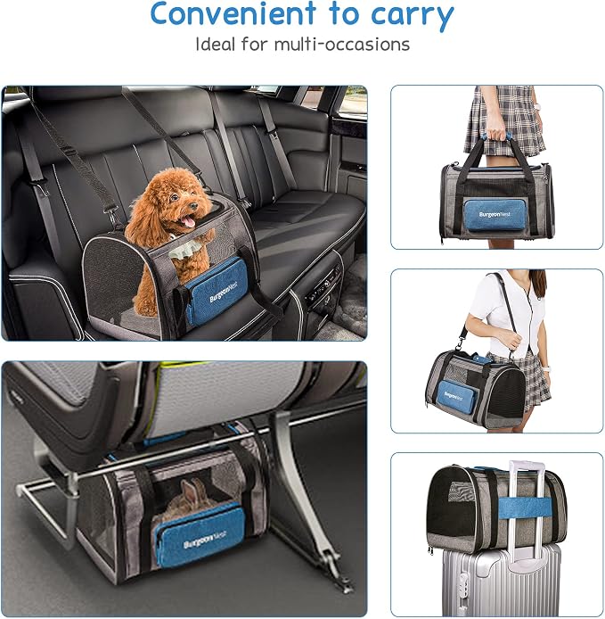 BurgeonNest Pet Carrier for Large Cats, Soft-Sided Cat Carrier for Big Cats and Small Dogs Up to 20 lbs, Top Loading Collapsible Escape-Proof Travel Cat Bag with 4 Mesh Windows & Side Storage, Blue