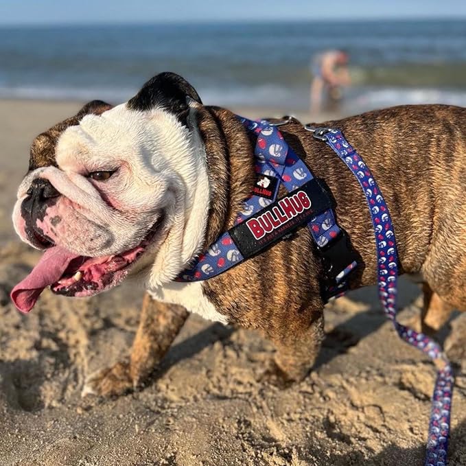 Adjustable Dog Harness– No Pull, No Choke – for English Bulldogs, French Bulldogs, Pugs & Broad-Chested Breeds – Easy, Safe Walks (BLUEWHITE, XL)