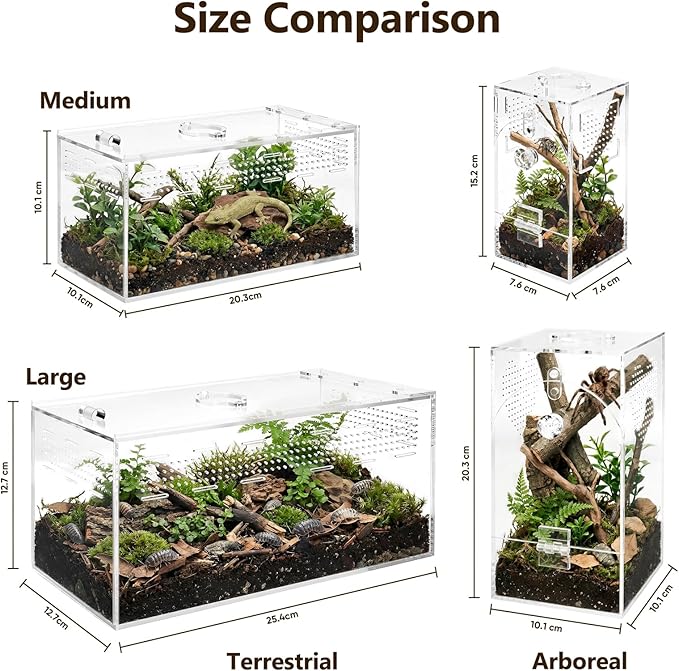 Jumping Spider Enclosure Set, Terrestrial Arboreal Combo, Acrylic Tarantula Terrarium, Praying Mantis Habitat, No Assembly, 2-Size Kit, Large