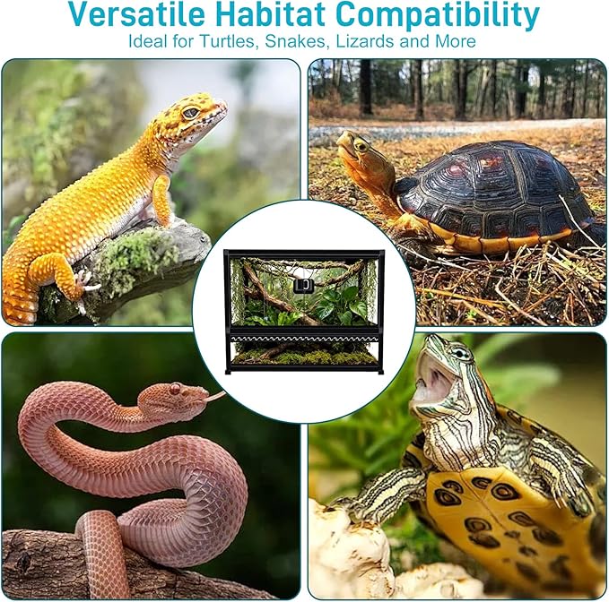 Reptile Terrarium Glass Enclosure 22" × 14" × 12", Front Opening Tank with Mesh Top, Easy Assembly for Small Reptiles, Geckos, Lizards, Snakes, Turtles & More