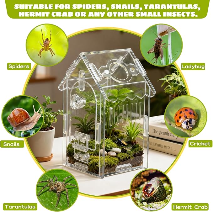 Jumping Spider Enclosure Acrylic Spider Cage Insect Terrarium Bug Enclosure Tarantula Enclosure Reptile Terrarium for Snail, Mantis, Lizard, and Small Reptiles - Small House Shape