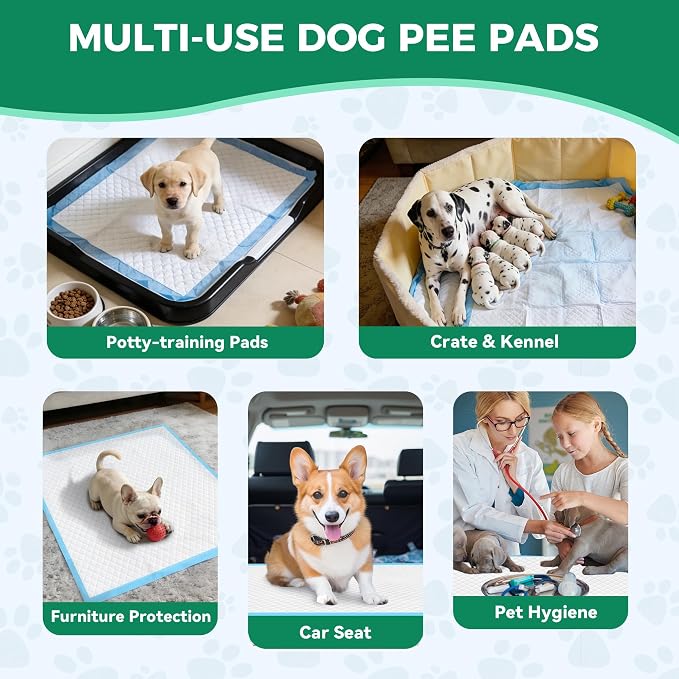 YOPETKI Large Puppy Pads 30"x26" 100 Count, Disposable Dog Pee Pads Leak-Proof, Large Pee Pads for Dogs 100 Bulk Pack, Large Absorbent & Quick-Dry Pet Potty Training Pads for Dogs, Puppies, Doggy