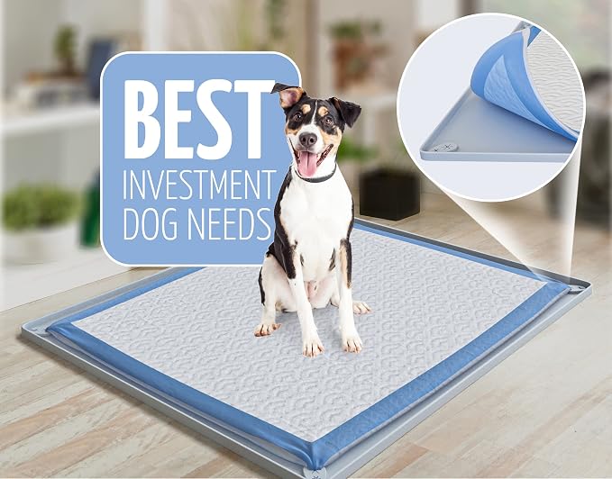 Dog Pee Pad Holder Tray Fits for 30” x 23” Pee Pads - 2 Pack - Light Grey | Corner Lock Holes, Raised Edges, Non-Spill, Easy to Clean Silicone Dog Potty Tray Holder, For Indoor Floor Protection