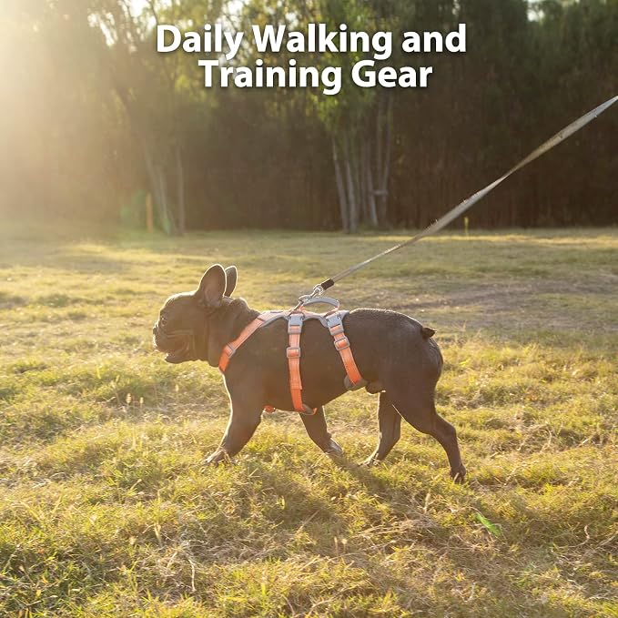 Escape Proof Dog Harness, No Pull Reflective Harness with Lift Handle, Adjustable Pet Vest with Front and Back Leash Clips for Small Medium Large Dogs Walking Hiking Training (Orange,XL)