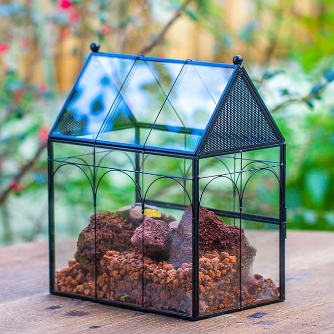 NCYP Glass Enclosure with Vent Holes for Jumping Spiders, Praying Mantis, Small Insect - 7.5" x 4.9" x 9" Front Opening Door Vented Glass Terrarium - House Shape, Home Decor, Black (Terrarium Only)