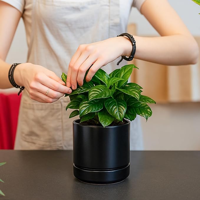 D'vine Dev 4.7 Inch Ceramic Planter Pot, Black, 94-O-B-2 | Modern Cylinder Design, Drainage Hole & Saucer Included, Stable Structure, Elegant Home Accent