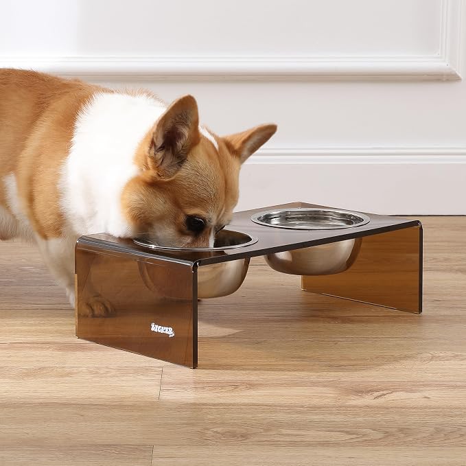 DBL2000D Keaton 5" Small/Medium Modern Acrylic Rectangular Elevated Pet Feeder with 20oz 2-Stainless Steel Bowls, Amber/Chrome