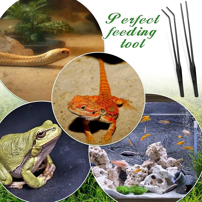 Lasnten 2 Pcs Extra Long Stainless Steel Reptile Feeding Tongs with Rubber Tip 10 Inch, 10.5 Inch Bearded Dragon Aquarium Straight and Curved Long Tweezer Terrarium Feeder Tool for Tank(Black)
