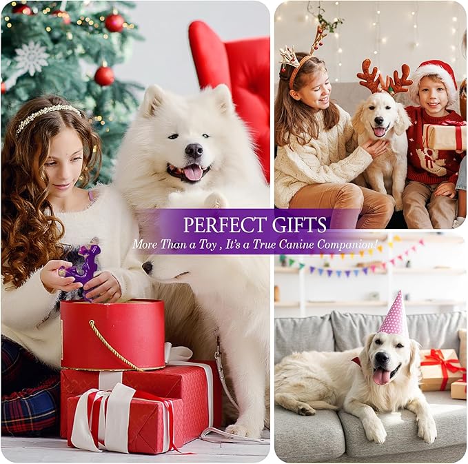 Jouets pour Chiens Mordeurs Agressifs (lot de 6) : Jouet pour Grand Chien Mâcheur Agressif, Jouet pour Chien Occupant, Goût Bacon