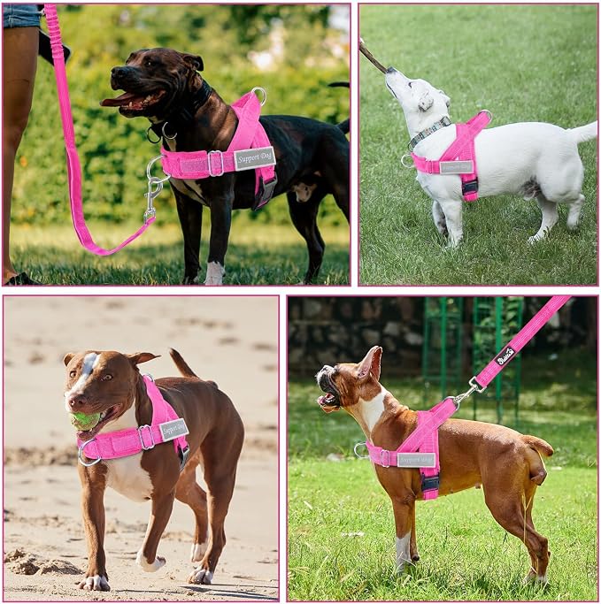 SlowTon No Pull Dog Harness with Front Clip - Heavy Duty, Soft Padded | Neck & Chest Adjustable, Tactical Pet Vest and Leash Set for Large Medium Sized Dogs, for Easy Walk & Training, Fuchsia M