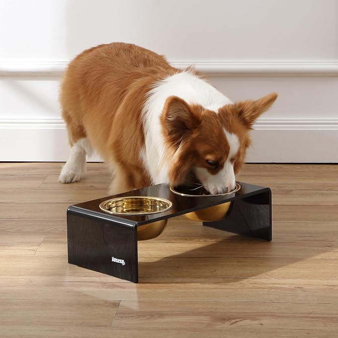 DBL2000B Keaton 5" Small/Medium Modern Lucite Rectangular Elevated Pet Feeder with 20oz 2-Stainless Steel Bowls, Black/Gold