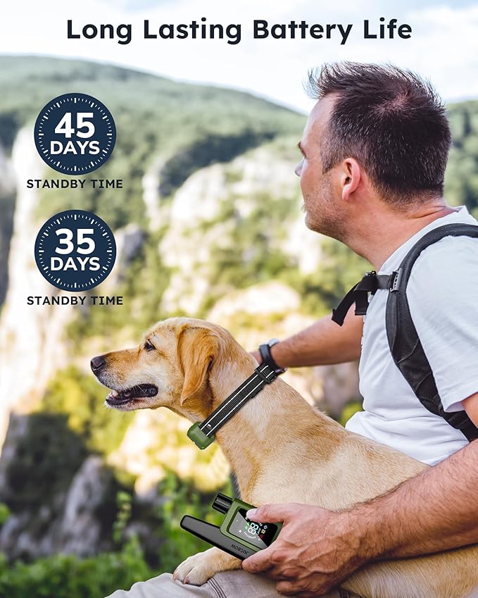 Jugbow Dog Shock Collar for 2 Dogs- Dog Training Collar with Remote 4200FT, IPX8 Waterproof Electric Dog Collar with 4 Training Modes, Security Lock, Rechargeable eCollar for 10-120lbs Dogs