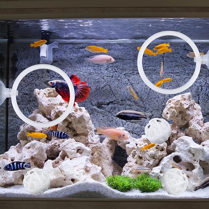 Beta Fish Aquariums Accessories, Betta Ring Enrichment Toys, 1 Fish Mirror with Floating Ball & 2 Exercise Training Ring Toys & 4 Nitrifying Balls for Fish Tank, Betta Tank, Betta Aquarium